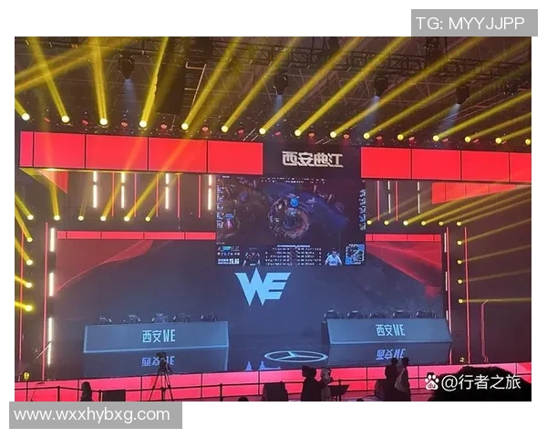 深入分析WE在职业联赛中的实力表现与未来发展潜力